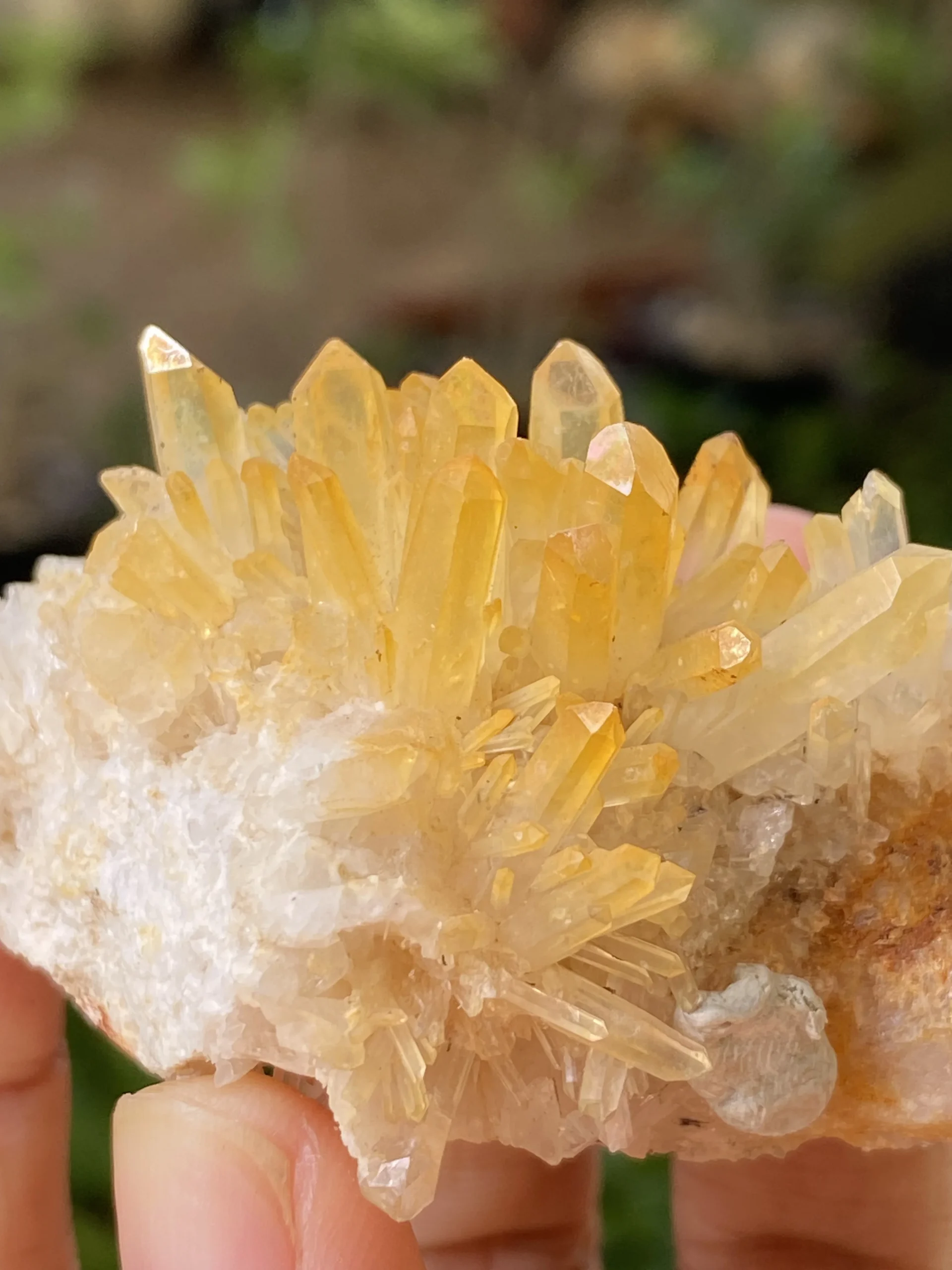 ซิทรินชิ้นจริงสีเหลืองทองในแสงธรรมชาติ