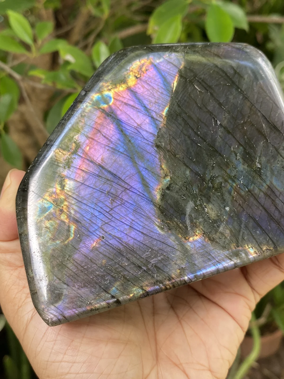 ลาบราโดไรต์แบบขัดเงาที่เห็นประกายสีบนผิวหินอย่างชัดเจน