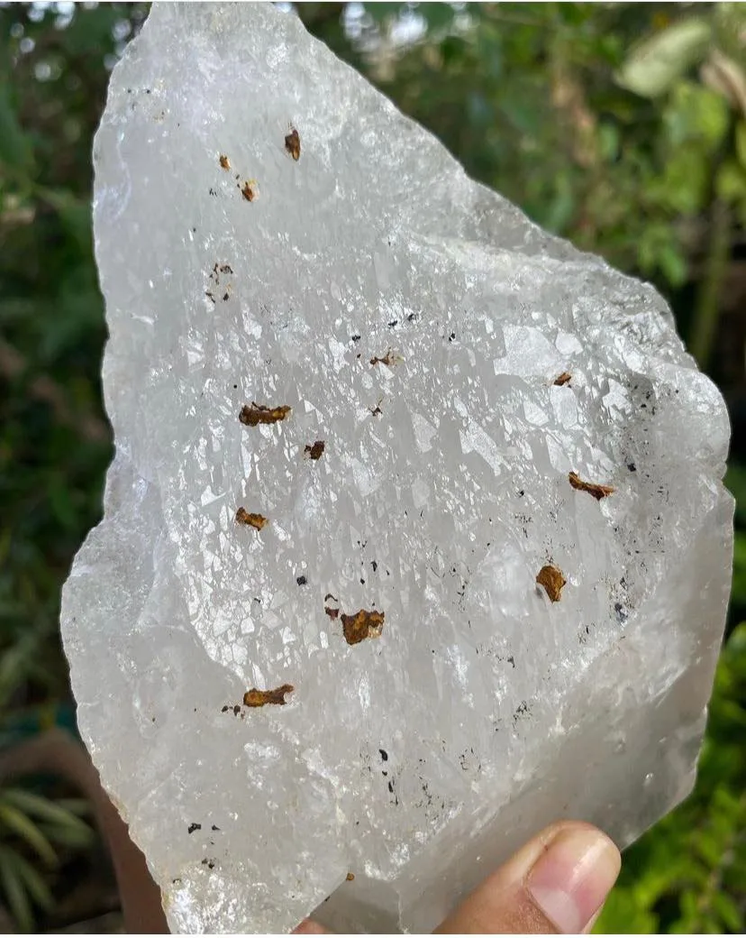 ET Extra Terrestrial Quartz ปลายแหลมหลายจุดที่ฐาน