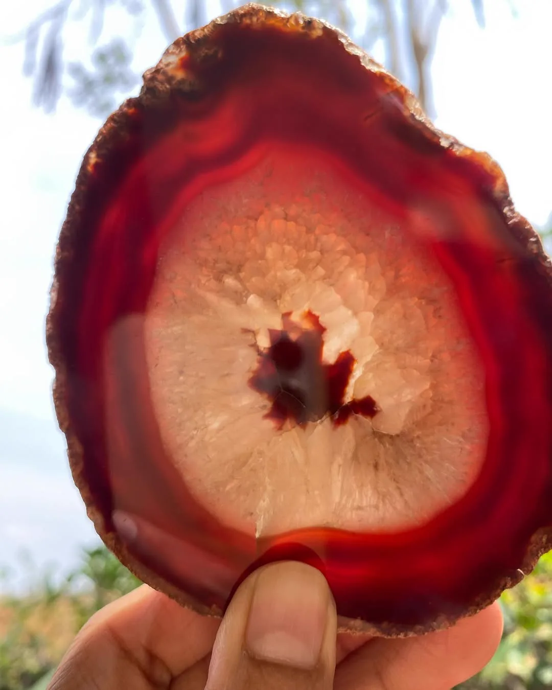 อาเกตแดงแบบใกล้ เห็นวงสีแดงเข้ม สีส้ม และส่วนกลางที่โปร่งแสงของชิ้นหิน